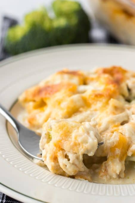 A forkful of cheesy chicken casserole.