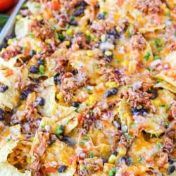 Layers of deliciousness on tortilla chips.