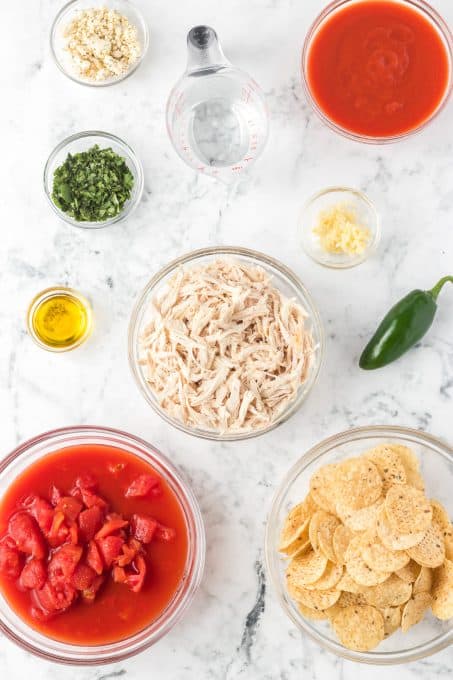 Ingredients for Chicken Chilaquiles