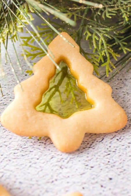 A stained glass tree cookie.