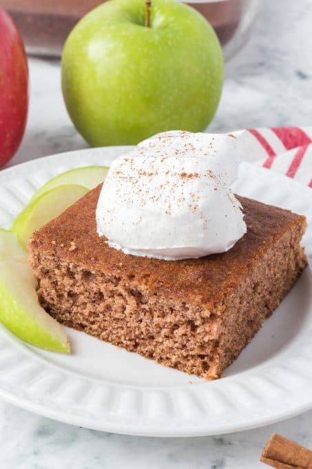 A slice of cake with cinnamon, nutmeg, and applesauce.