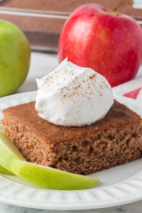 Cake made with applesauce, cinnamon and nutmeg.