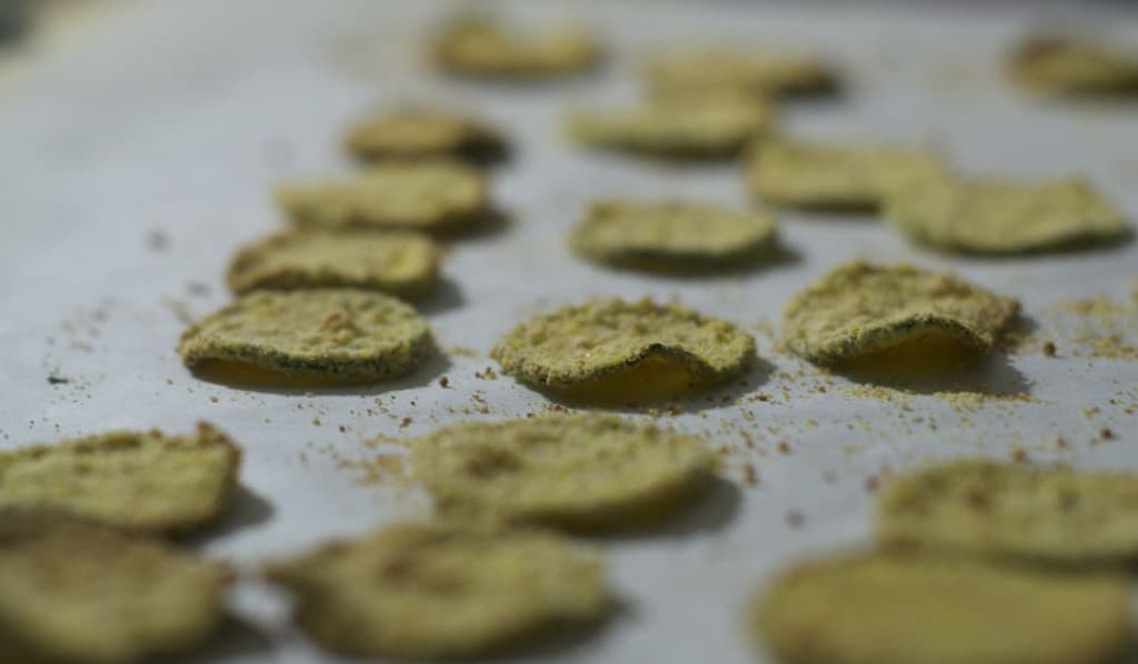 Cornmeal Breaded Zucchini Chips