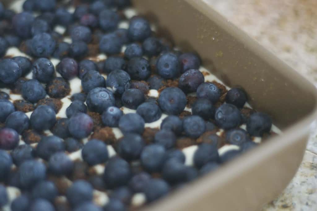 Blueberry Lemon Cheesecake Bars - lemony cheesecake bars covered in blueberries and a lemon streusel topping.