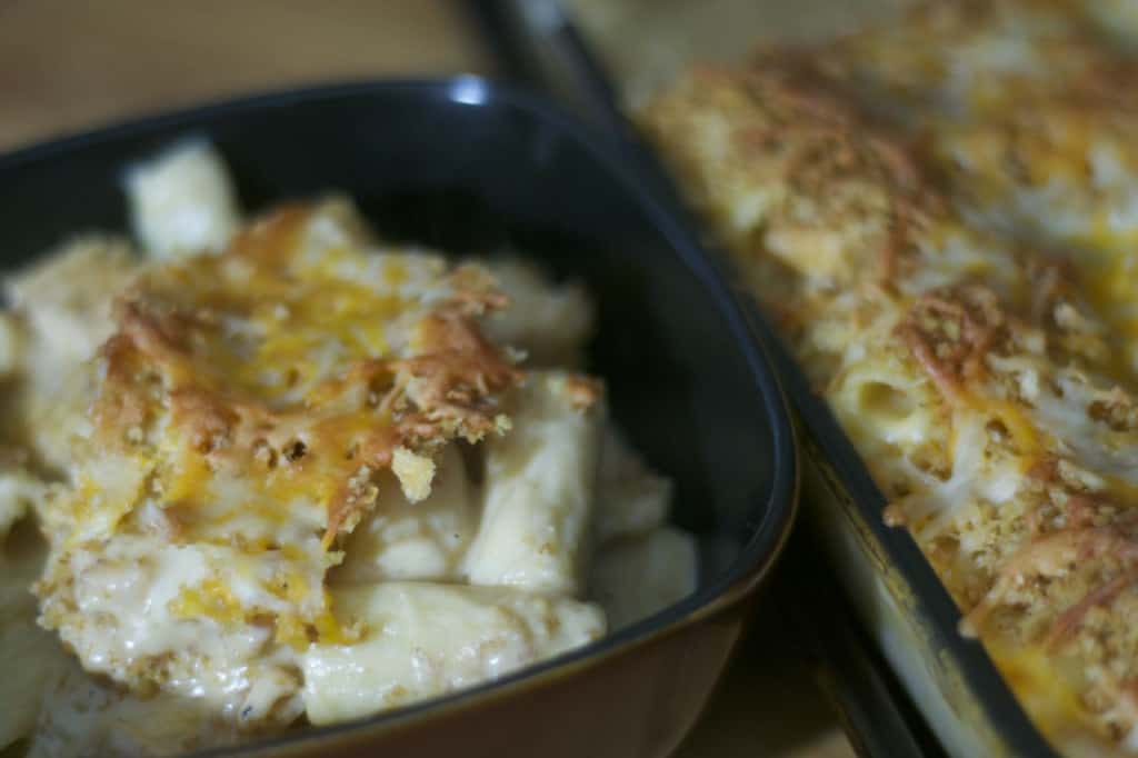 Barbecue Chicken RIgatoni and Cheese - barbecue chicken mixed with that great comfort food, macaroni and cheese!