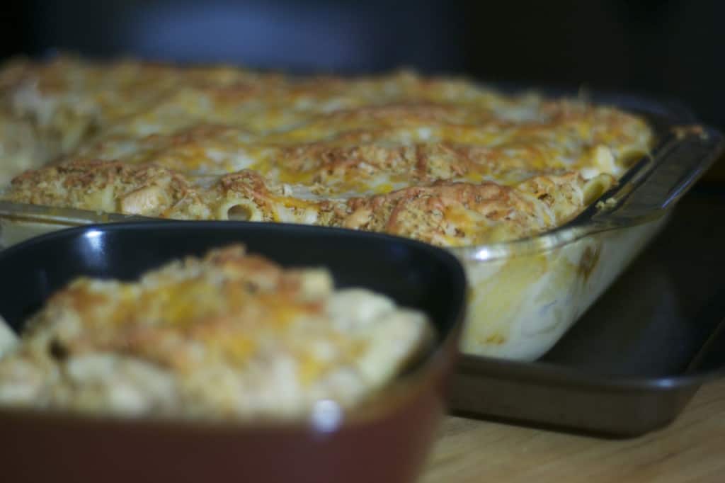 Barbecue Chicken RIgatoni and Cheese - barbecue chicken mixed with that great comfort food, macaroni and cheese!