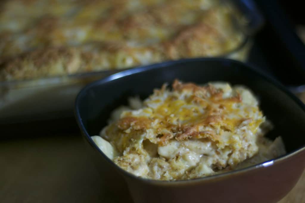 Barbecue Chicken RIgatoni and Cheese - barbecue chicken mixed with that great comfort food, macaroni and cheese!