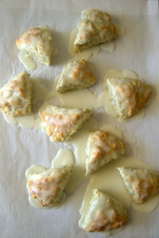 Lemon Poppy Seed Scones - filled with poppy seeds and lemon rind then drizzled with a delicious lemon glaze.