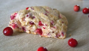 Cranberry Macadamia Scones - soft, moist scones filled with fresh cranberries, macadamia nuts, cardamom and nutmeg.