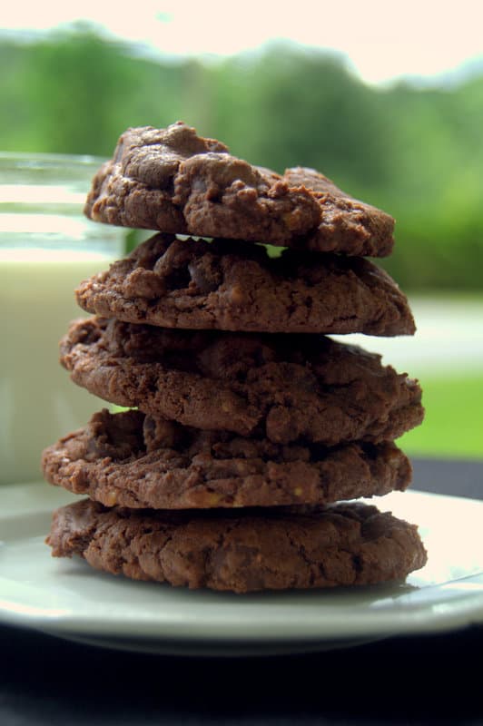 Double Chocolate Toffee Cookies - rich chocolate cookies with dark chocolate chips and crunchy bits of toffee candy.