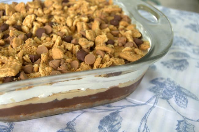 Chocolate Peanut Butter Dream Bars-3