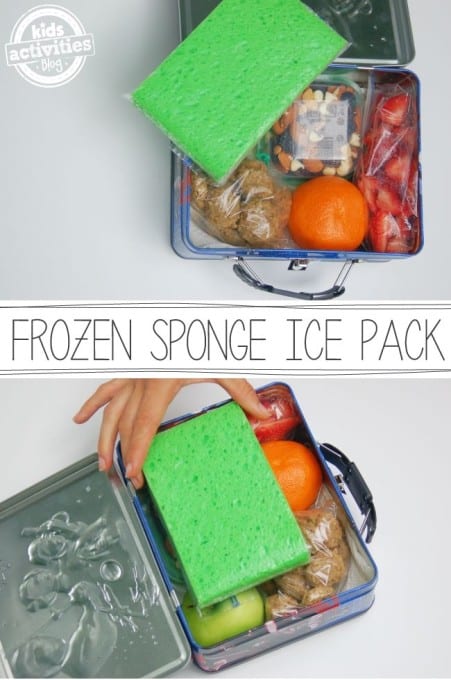 Frozen Sponge Ice Pack