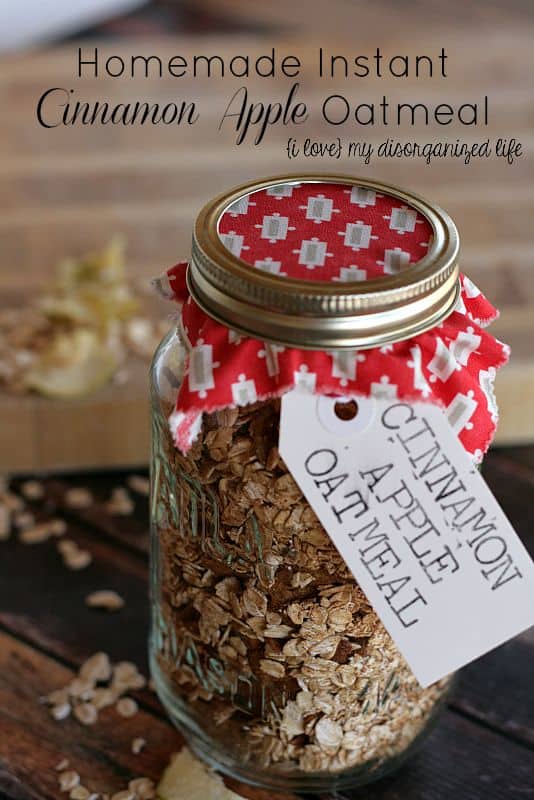 Homemade Instant Cinnamon Apple Oatmeal