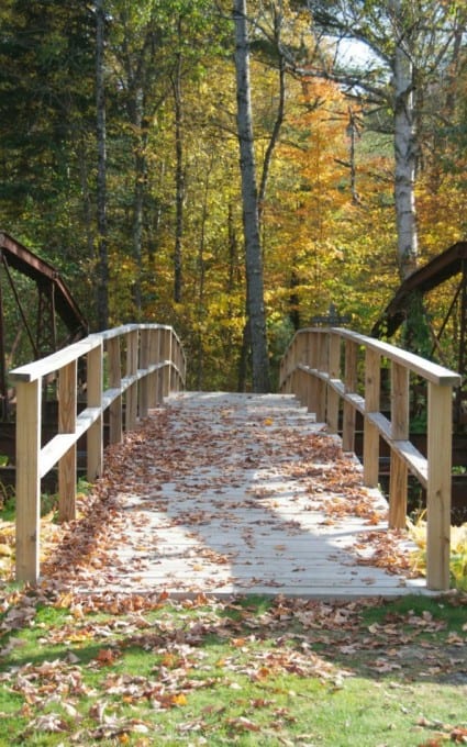 Fall Foliage in New Hampshire 2014