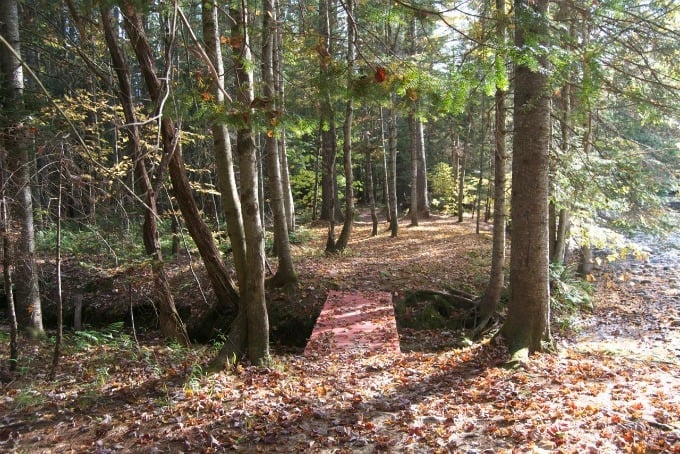 Fall Foliage in New Hampshire 2014