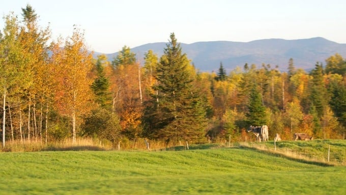 Fall Foliage in New Hampshire 2014