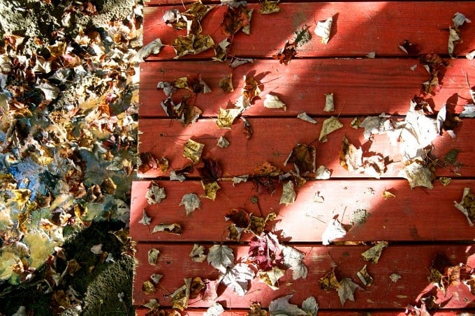 Fall Foliage in New Hampshire 2014