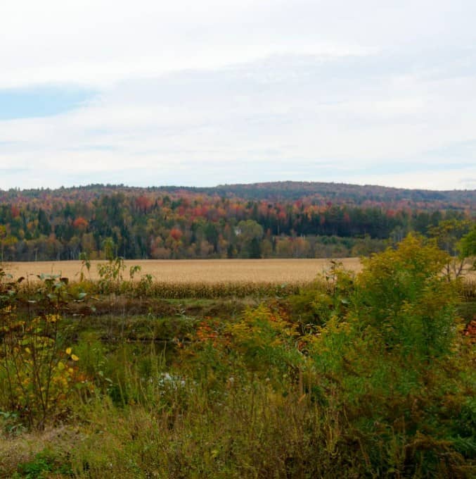 Fall Foliage in New Hampshire 2014