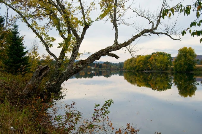 Fall Foliage in New Hampshire 2014