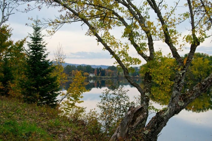 Fall Foliage in New Hampshire 2014