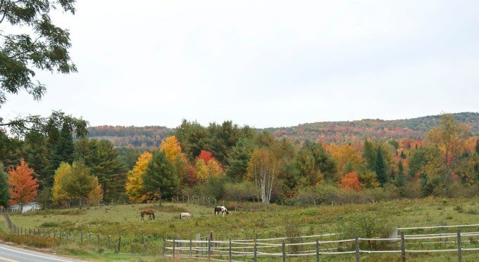 Fall Foliage in New Hampshire 2014