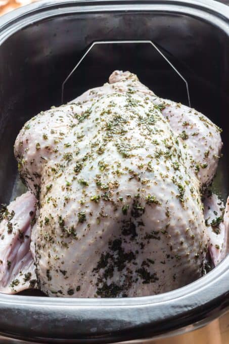 A turkey smothered with fresh herbs in a roasting pan.