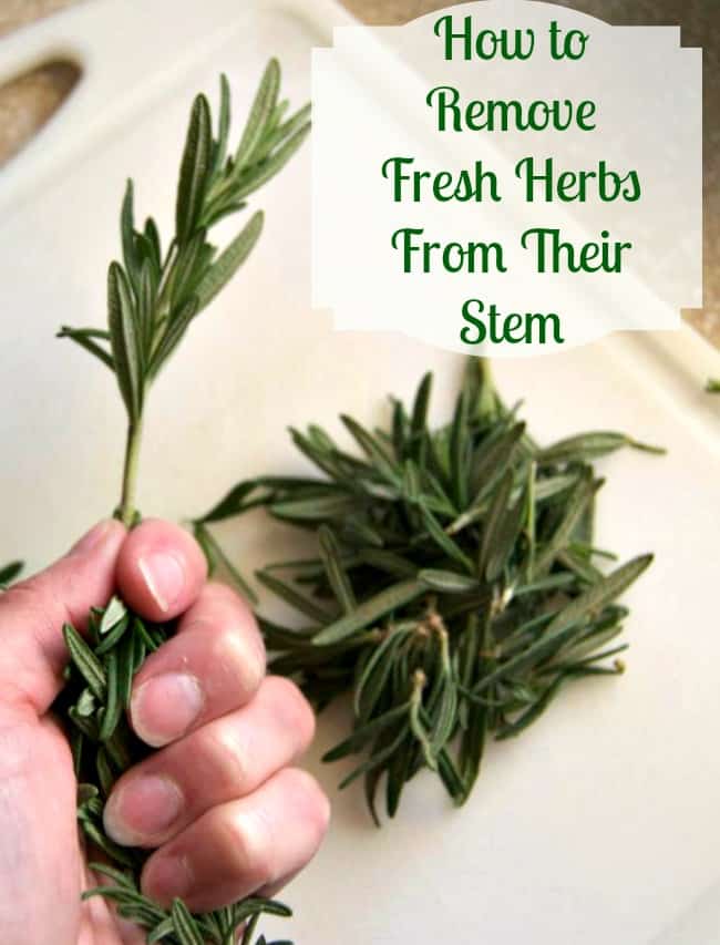 Removing fresh herbs like rosemary and thyme from their stems is easy with this little trick!
