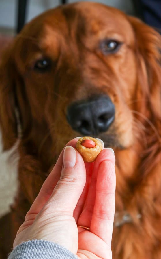 Homemade Dog Pill Pockets