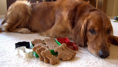 Peanut Butter Banana Dog Treats