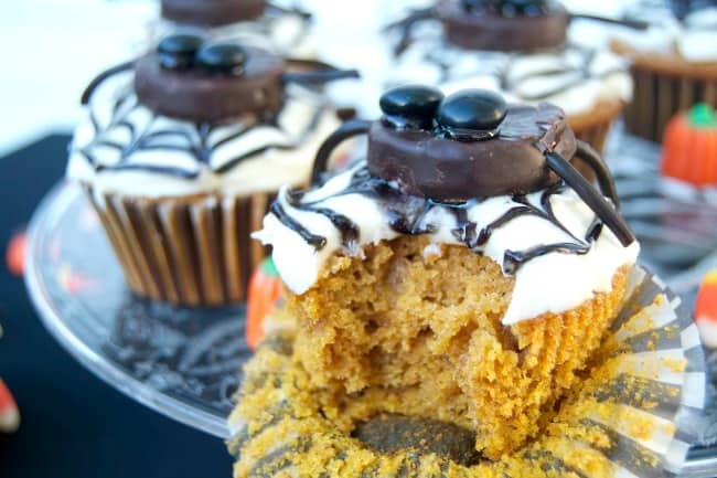 Pumpkin cupcakes topped with a spider web and a fun -loving spider!