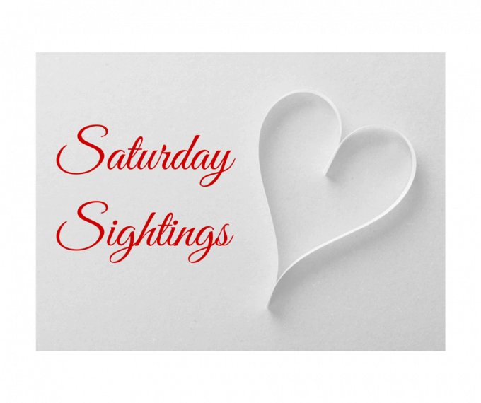 SaturdaySightings