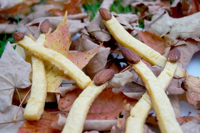 The perfect Halloween appetizer - cheddar cheese witch's fingers with almonds for the fingernails. SPOOKY, but fun!