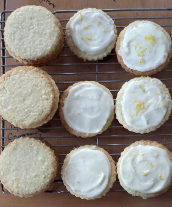 Lemon Coconut Sugar Cookies are made with fresh lemon juice, zest, and shredded coconut. This frosted sugar cookie makes a great Springtime treat!