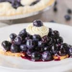 A slice of No Bake Blueberry Pie