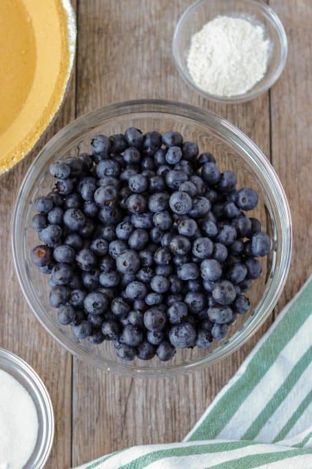 Ingredients to make a No Bake Blueberry Pie.
