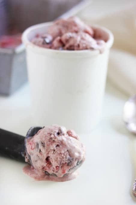 ChocolateChunkStrawberryIceCream2