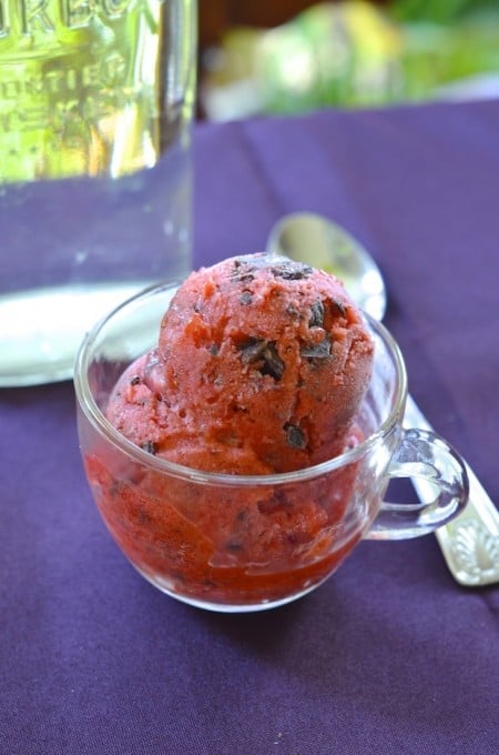 strawberry sorbet with chocolate