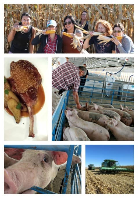 Pork Tour '15 - Brenneman Farm