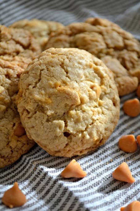 Oatmeal Cookies with the fun addition of butterscotch chips!