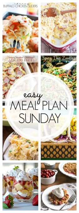 With Easy Meal Plan Sunday {Week 56}, these six meals, two desserts and a breakfast recipe will help you remove the guesswork from this week's meal planning. Enjoy!