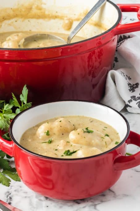 Chicken N Dumplins from scratch.