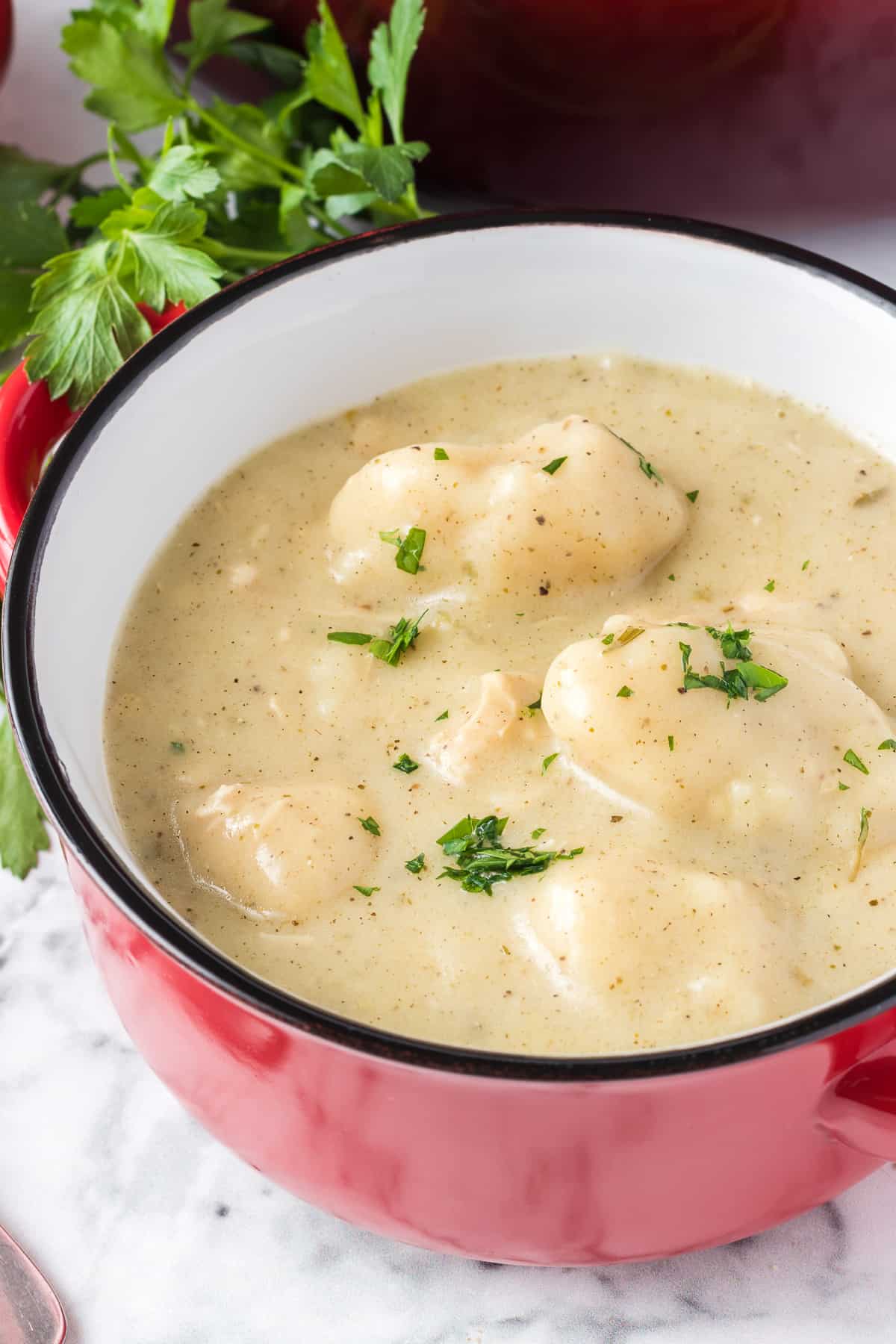 Do-it-yourself Hen and Dumplings | 365 Days of Baking and Extra