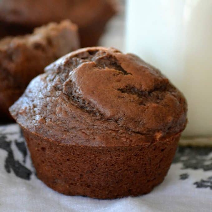 Chocolate Banana Muffins - when chocolate collides with banana, the perfect morning muffin is created. It’s one even a monkey would love!