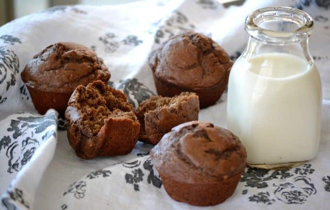 Chocolate Banana Muffins - when chocolate collides with banana, the perfect morning muffin is created. It’s one even a monkey would love!