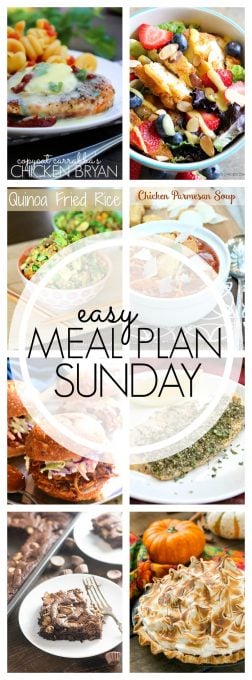 With Easy Meal Plan Sunday Week 64 - six dinners, two desserts and a breakfast recipe will help you remove the guesswork from this week's meal planning.