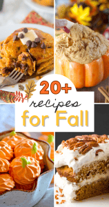 20+ Thanksgiving Dinner Ideas - The Recipe Rebel