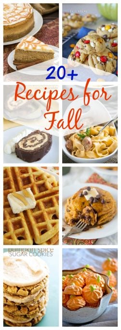 With these 20+ Recipes for Fall from breakfast to dessert and everything in between, this collection is sure to give you all the tastes of the season. Put some smiles on the faces of your family and friends when you make these recipes.