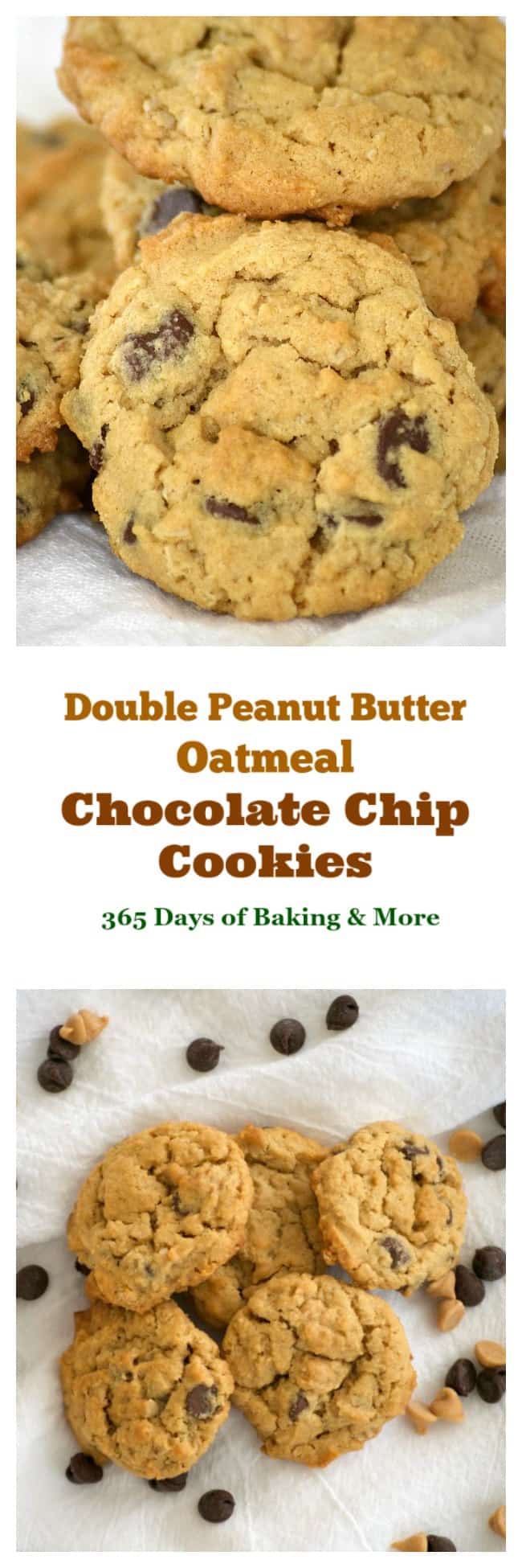 These Double Peanut Butter Oatmeal Chocolate Chip Cookies are bursting with peanut butter flavor and just a hint of chocolate. The perfect midnight snack!