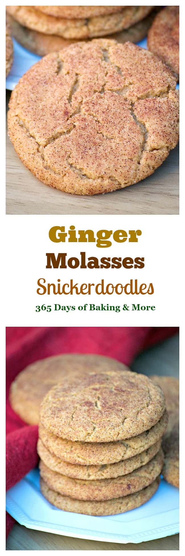 These Ginger Molasses Snickerdoodles are chewy cinnamon sugar cookies with the addition of ginger and molasses - the perfect Snickerdoodle for the holidays!