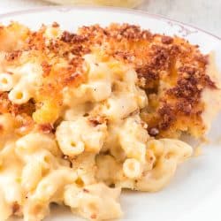 Cheesy Mac.